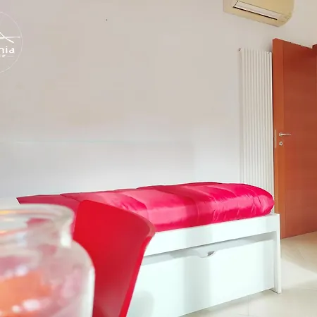 Messina Cod G7 朱利亚诺瓦